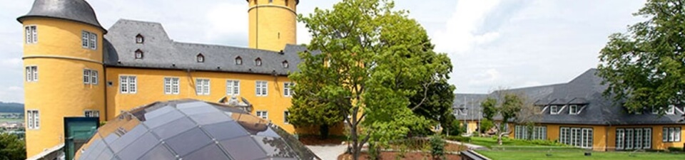 ADG Business School an der Steinbeis-Hochschule ADG Business School an der Steinbeis-Hochschule