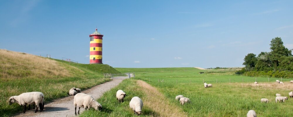 Hotel- und Restaurantmanagement in Niedersachsen